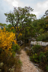  Termessos (Greek Τερμησσός Termēssós), also known as Termessos Major (Τερμησσός ἡ μείζων), was a Pisidian city built at an altitude of about 1000 metres at the south-west side of Solymos Mountain