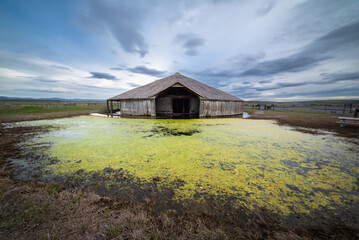 Watery Round Barn On Beautiful Spring Day