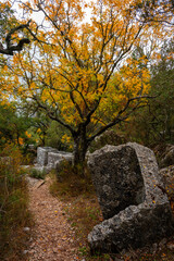  Termessos (Greek &Tau;&epsilon;&rho;&mu;&eta;&sigma;&sigma;ό&sigmaf; Termēss&oacute;s), also known as Termessos Major (&Tau;&epsilon;&rho;&mu;&eta;&sigma;&sigma;ό&sigmaf; ἡ &mu;&epsilon;ί&zeta;&omega;&nu;), was a Pisidian city built at an altitude of about 1000 metres at the south-west side of Solymos Mountain