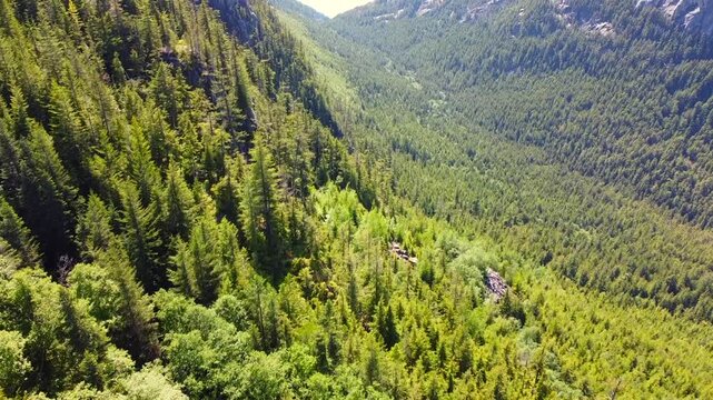 Aerial Drone Stawamus Chief Squamish British Columbia Canada Sea to Sky