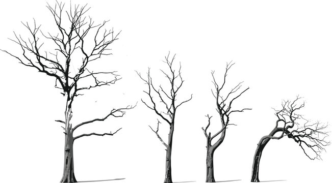 PrintRealistic 3D Render of Four Dead, Bare Trees, Representing Drought, Despair, Decay, Death, Aging, and Environmental Distress in a Photorealistic Vector Style.