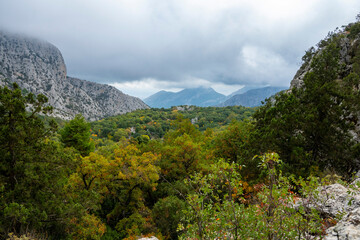 The ancient city of Syedra has located about 20 km. southeast of Alanya district of Antalya, on a...