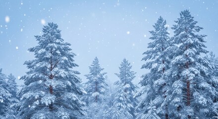 Snowy pine trees in a winter wonderland with gentle snowfall creating a serene and picturesque scene in a cold winter day landscape