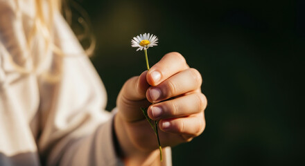 Womans hand holding a daisy flower against a blurred green background