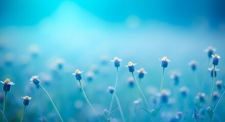 Soft focus macro shot of small white and yellow wildflowers growing in a field with a dreamy, bright blue, blurred background creating a serene and tranquil atmosphere