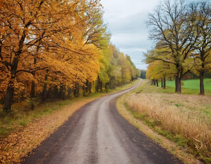 Contrasting Seasons: Path Through Time from summer to winter and the change of climate. A country road in autumn.