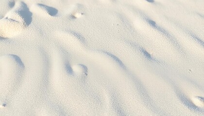 Fine, powdery white sand, sun-dappled texture, shore, texture