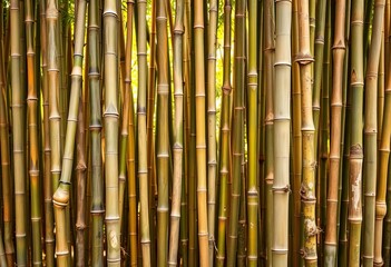 Vertical bamboo stalks, natural texture, warm tones, screen, Japanese