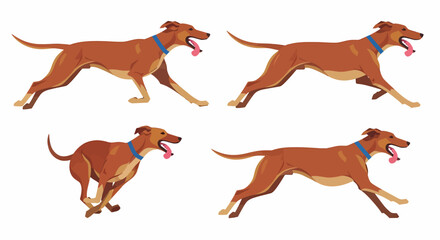 Four illustrations of a brown dog in various running poses, each wearing a blue collar and panting.