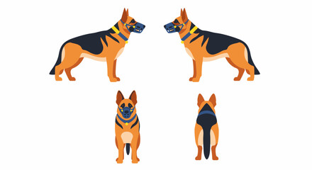 A set of German Shepherd dog illustrations from multiple angles: front, back, and both sides.