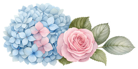 Hydrangea and rose watercolor floral illustration, isolated PNG.