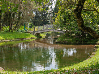 A peaceful garden pond surrounded by lush green trees and a small curved bridge reflected on the calm water surface