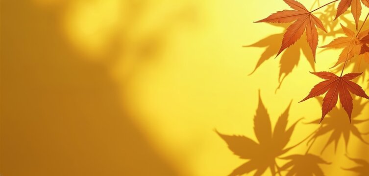 Orange maple leaves cast dark shadows on a bright yellow background. Sunlight creates an abstract pattern. This image is suitable for autumn or summer themes and graphic design overlays.