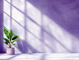 A potted green plant sits on a white floor, with diagonal shadows from a window falling across a textured purple wall.