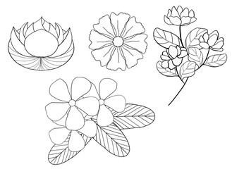 Set outline spring flower bouquet