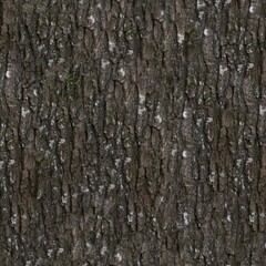 Close-up of Tree Bark with Rough Texture and Natural Colors