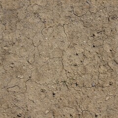 Dry Cracked Earth Surface with Sparse Vegetation and Parched Texture