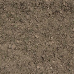 Brown Soil Surface with Small Clumps and Sparse Grass in Natural Setting