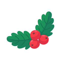 Red Berries with Green Leaves for Holiday Decoration