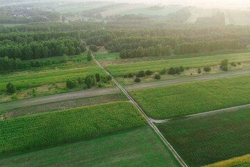 Unpaved rural road across fields and trees