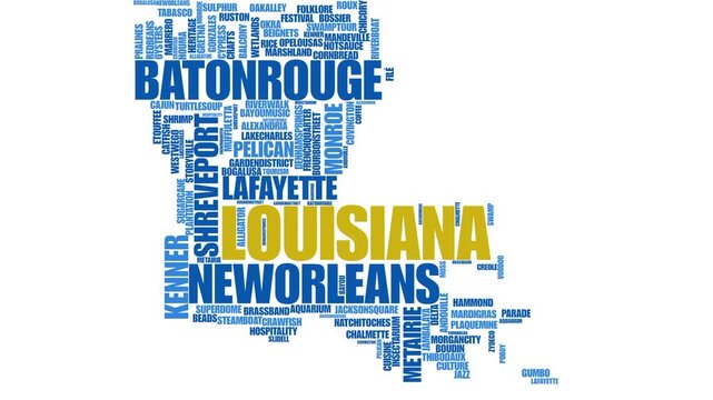 LOUIS wordcloud