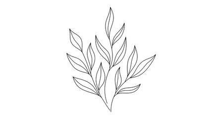 Obraz premium A leafy branch with long, elegant leaves arranged in alternating positions, drawn in clean, minimal outline strokes.