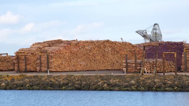 A large stack of processed timber logs stored at the Portland port in Victoria, Australia, with industrial loading equipment. Timber export operations, forestry production, coastal port infrastructure