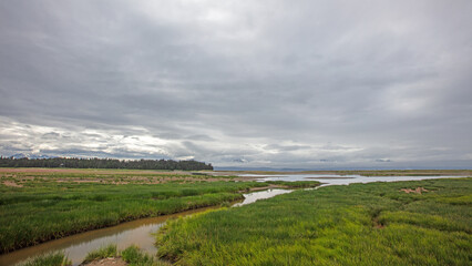 Tidal creek in Beluga Slough in Homer Alaska USA