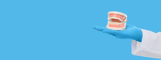 A doctor demonstrates dental health using a teeth model