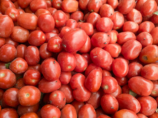 Fresh Red Tomatoes Close Up