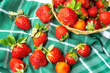 Wicker basket and scattered fresh red strawberries on a crumpled green checkered cloth. Strong natural contrast, ideal for spring, summer, market, and farm-to-table concepts.