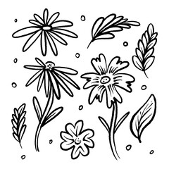 Floral hand drawn black paint vector set. Ink drawing flowers and leaves. Isolated floral elements, blossoms and botanical