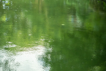 新緑の緑を反射した森の湧き水の揺らぎと波紋　日本・山・夏・涼しい・自然・水資源・環境
