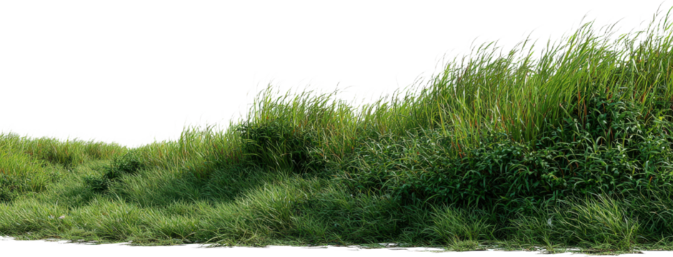 Lush green grassy area with natural vegetation in the foreground - Powered by Adobe