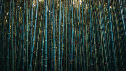 Dense Bamboo Forest Background Dark Green Lush Tall Growing Plants