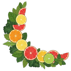 Colorful illustration of various citrus fruits and leafy greens arranged in a decorative crescent shape.