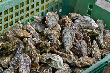Des huîtres fraîches du bassin d'Arcachon