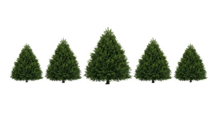 Row of five vibrant evergreen trees, digitally illustrated with realistic lush green foliage and varied heights, perfectly isolated on a clean white background for design projects