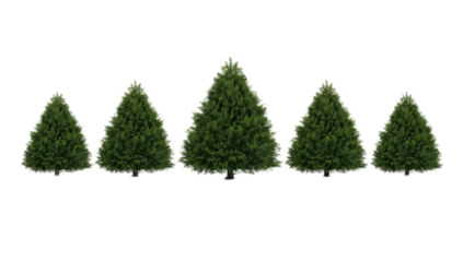 Row of five vibrant evergreen trees, digitally illustrated with realistic lush green foliage and varied heights, perfectly isolated on a clean white background for design projects