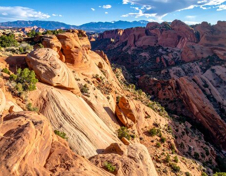 A scenic vista reveals textured orange rock formations in a vast canyon, with hints of vegetation and distant mountain ranges