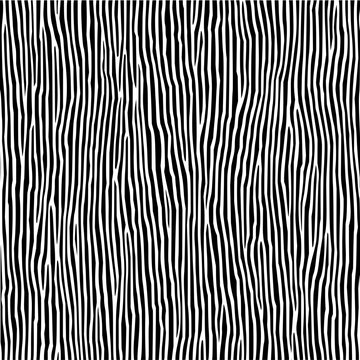 Abstract black and white zebra stripes pattern vector background texture design illustration for print art 100