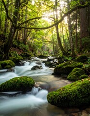 Obraz premium A serene river flows through a vibrant forest, with moss-covered rocks and light filtering through the trees