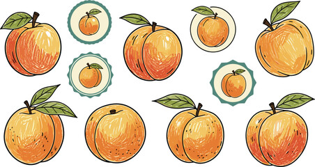 Vintage Crayon Peach and Apricot Fruit Labels.