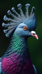 Close-up of crowned pigeon's head, vibrant colours, beak, head