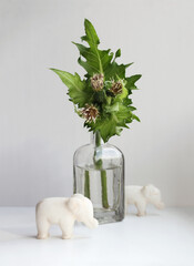 Minimalist still life with cabbage thistle flower in vintage glass vase and two toy elephants on a light background.