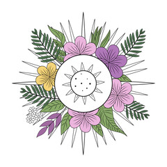 A vintage style illustration representing hibiscus sun