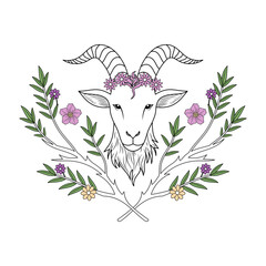 A vintage style illustration showing goat