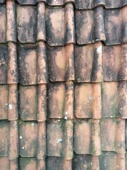 Top view portrait old clay rooftile with dry moss for background 