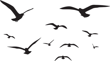A collection of various sized black bird silhouettes are scattered across a white background, appearing to fly.