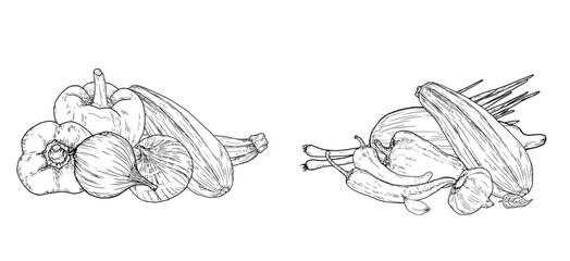 Zucchini and onions, peppers and herbs. Vector illustration. Farm vegetables, compositions on a white background. Cuisine, restaurants, farmers' markets, cookbooks, and menus.